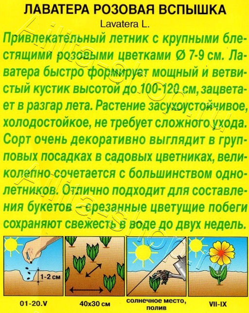 Лаватера Розовая вспышка 0,3г (Аэлита)
