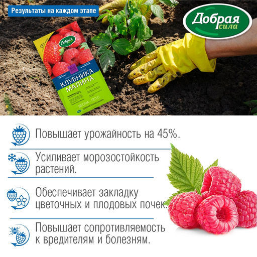 Компл. мин. удобр. "Добрая сила" Клубника-Малина, пак.0,9кг