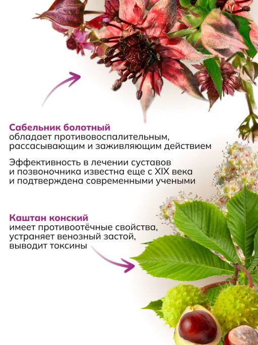 Банный сбор ФИТОПАР-6 Остеохондрозный 500 г Алфит 1231  фото 5