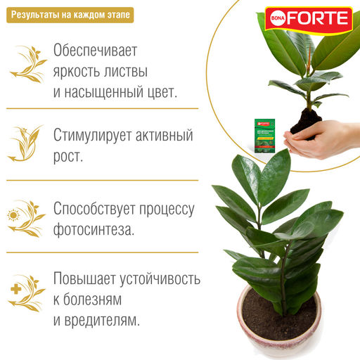 Компл. мин. удобр. "Bona Forte Красота" Для декоративно-лиственных растений пак.10мл
