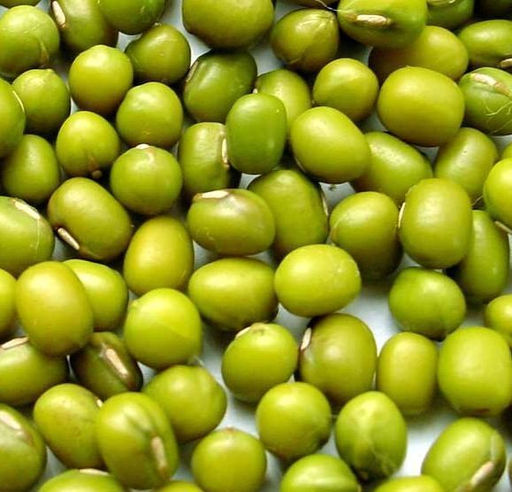 Зелёная Ультраскороспелая Овощная Соя - Эдамамэ