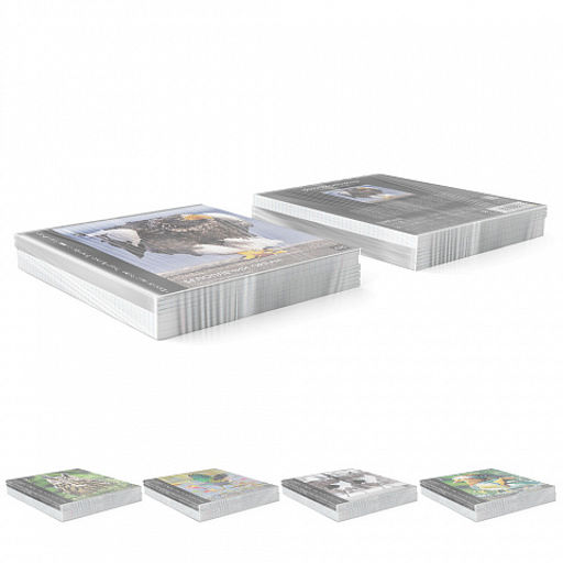 Цена за 5 шт. Тетрадь общая ученическая ErichKrause Энциклопедия, Красная книга России. Птицы, 48 листов, клетка, глянцевая ламинация_MIX-PACK  фото 10