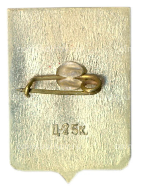 Значок Старая Русса