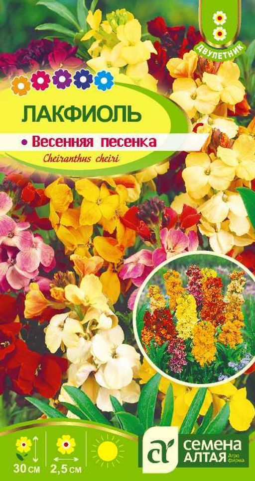 Лакфиоль Весенняя песенка/Сем Алт/цп 0,1 гр. двулетник