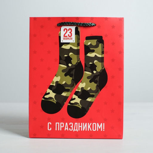 Цена за 2 шт. Пакет подарочный ламинированный, упаковка, «С 23 февраля», MS 18×23×10 см