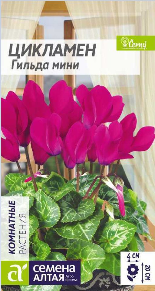 Цикламен Гильда мини /Сем Алт/цп 3 шт.