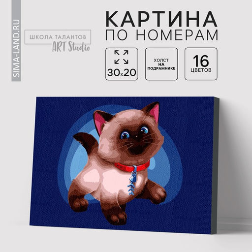 Картина по номерам на холсте с подрамником «Сиамский котёнок» 20×30 см