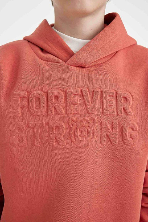 Толстовка с капюшоном для мальчика - Defacto фото 4