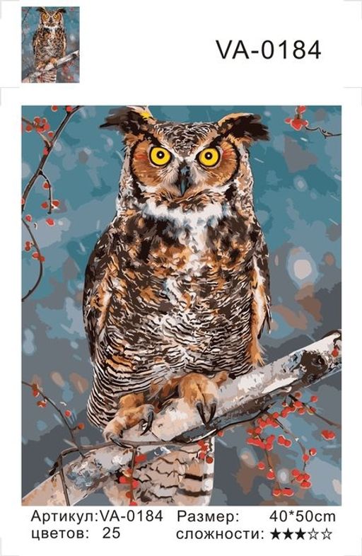 Филин зимой - Colibri фото 3