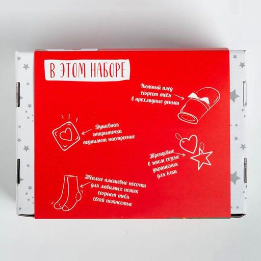 Набор подарочный новогодний «Этель»: плед, носки, 2 игрушки, открытка