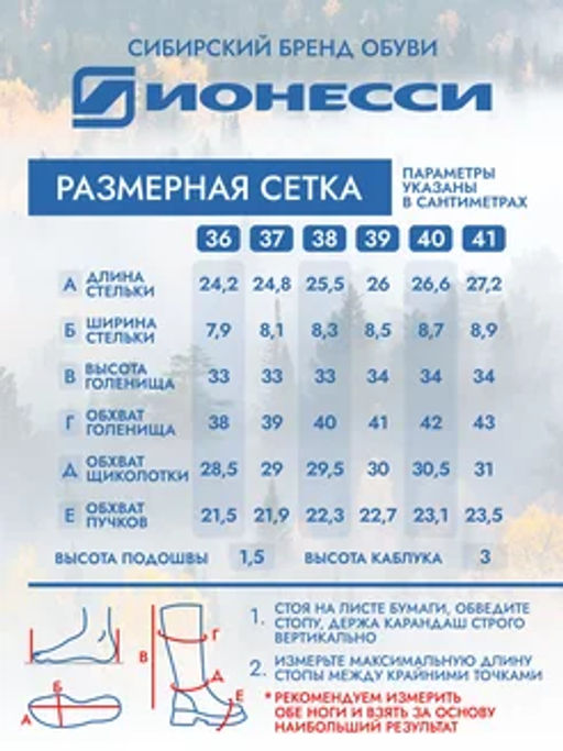Сапожки - Ионесси фото 3