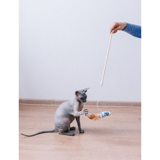 Дразнилка с махровой мышкой (7 см) на деревянной палочке, 40 см, микс цветов - Пижон фото 6