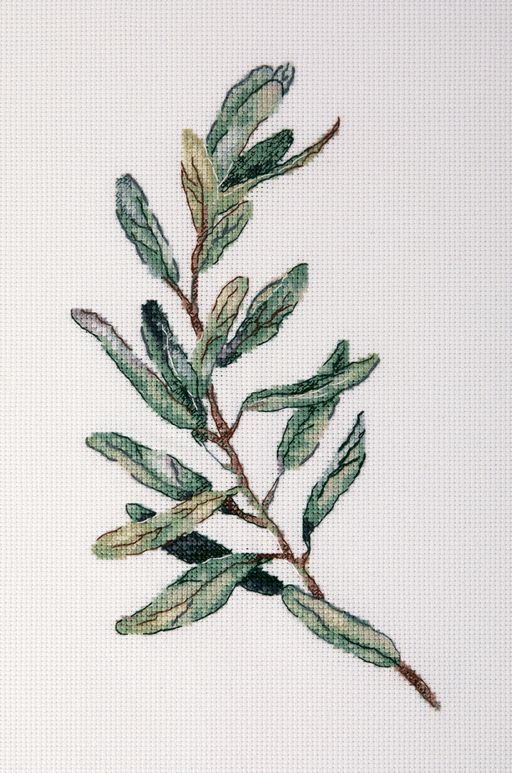 Набор для вышивания PANNA C-7300 Веточка оливы 21 х 30 см