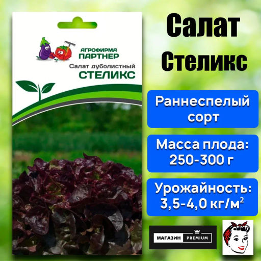 Салат дуболистный Стеликс - Партнер фото 2