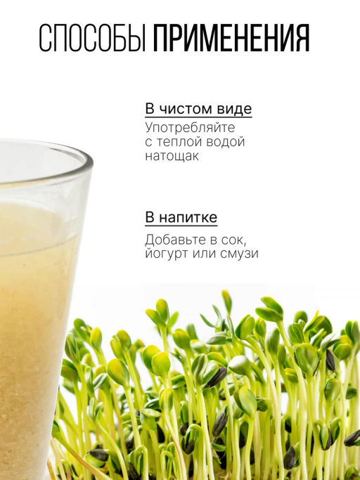 ЛЕН порошок из проростков 130г (Flax Sprout Premium Powder)