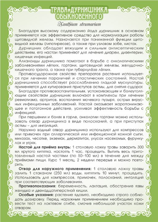 2 шт. Дурнишник обыкновенный (трава) - Мариславна фото 3