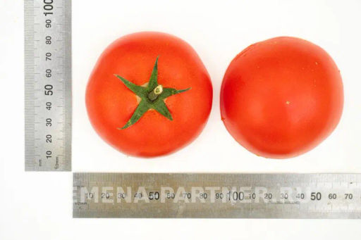 Томат Барика - Партнер фото 7