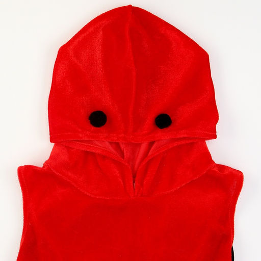 Карнавальный набор «Прекрасная Божья коровка»: платье, ободок, р. 98-104 см