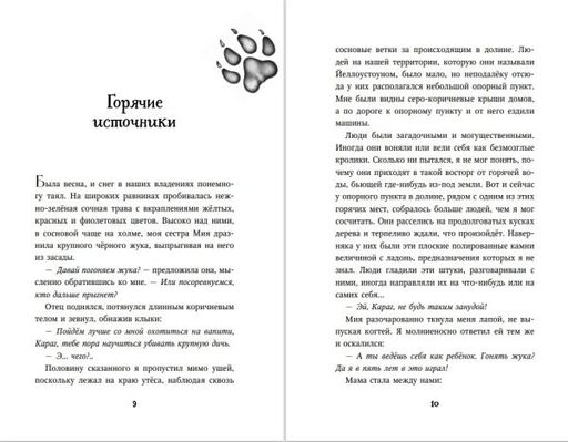 Тайна Холли (#3)