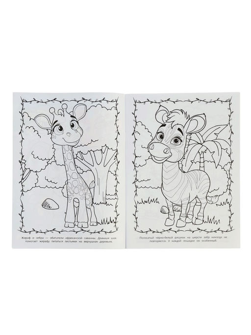 Раскраска "Животные жарких стран" 16 стр.