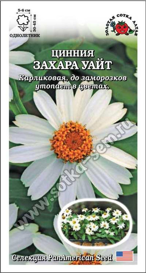 Цинния Захара Уайт 5шт. (Золотая сотка Алтая)