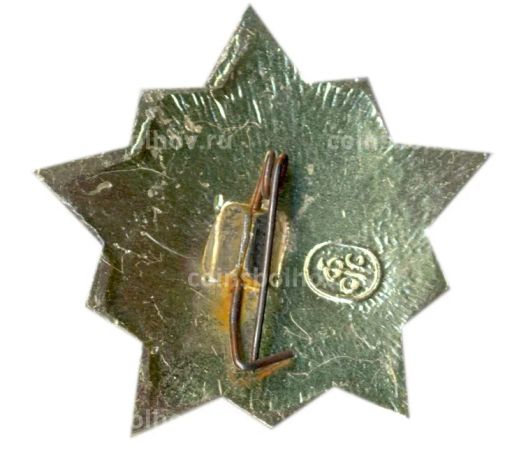 Значок Воин-спортсмен II ступень