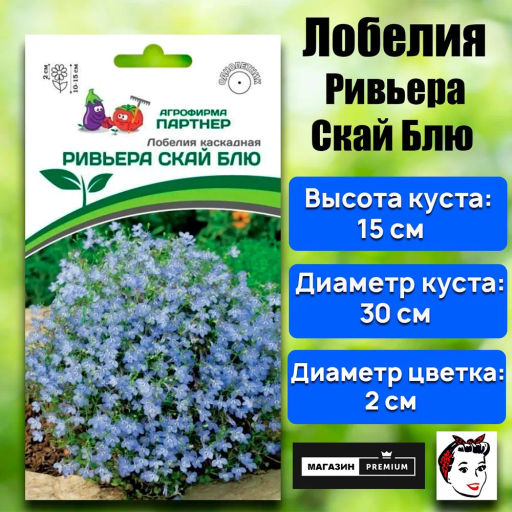 Лобелия каскадная Ривьера Скай Блю - Партнер фото 2