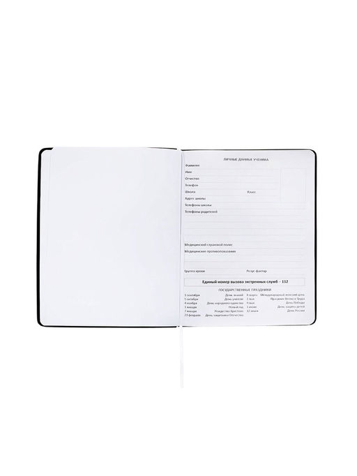 Дневник школьный 1-11 класс, deVENTE. Realistic, искусственная кожа, шелкография