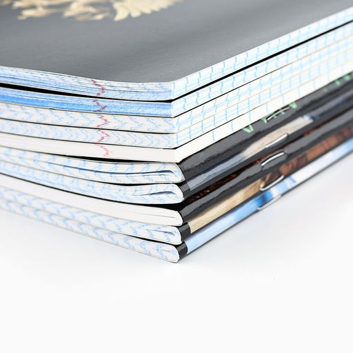 Тетради предметные, 36 л., набор из 10 шт., блок №1 Россия - Artfox study фото 5