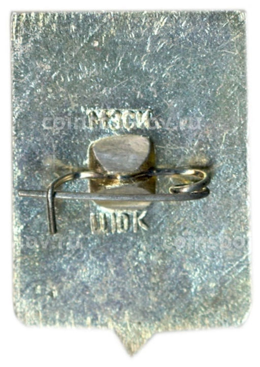 Значок Чебоксары