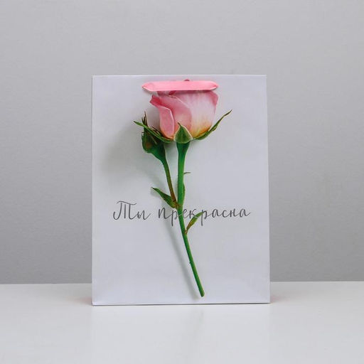 Пакет подарочный ламинированный, упаковка, Ты прекрасна, L 31?40?11.5 см
