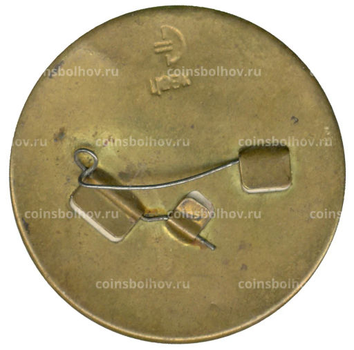 Значок Зайчик со скрипкой