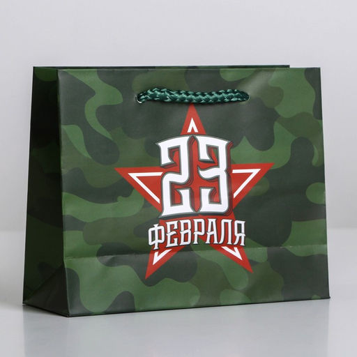 Цена за 4 шт. Пакет подарочный ламинированный, упаковка, С 23 февраля, S 15?12?5.5 см