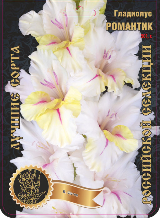 Гладиолус Романтик 501,Фотин Экстра 7шт (Ф)