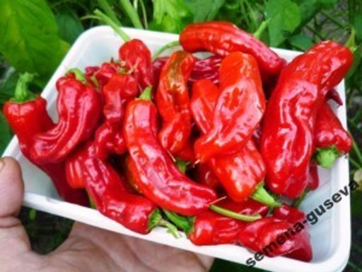 Знаменитый Перец- Pepperoncini (Pepperoncini) Greek