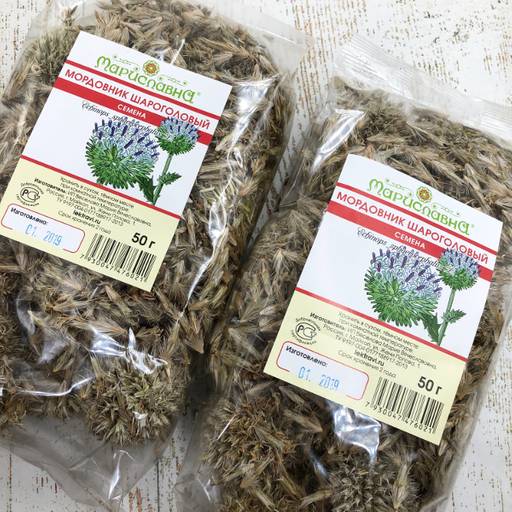 Мордовник шароголовый (семена) - Мариславна фото 5