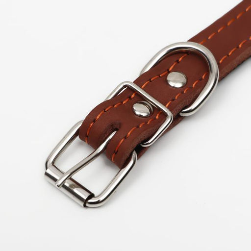 Ошейник кожаный на синтепоне, безразмерный, 45 х 2 см, ОШ 18-39 см, коричневый - Пижон фото 4