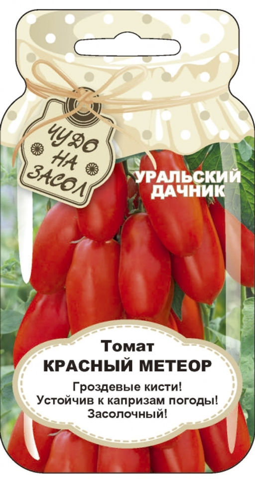 Томат КРАСНЫЙ МЕТЕОР Гроздевые кисти! Устойчив к капризам погоды! Засолочный! - Уральский дачник фото 3