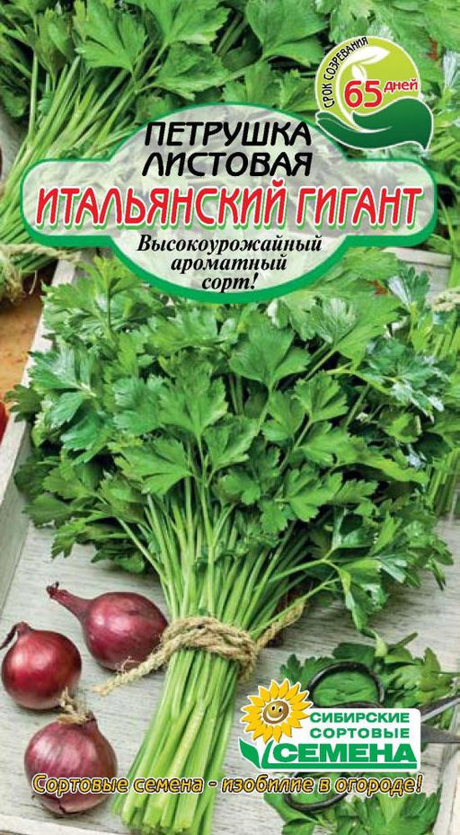 Итальянский Гигант петрушка листовая 1гр. (ссс) Р