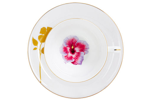 Чашка с блюдцем Гибискус, 0,25 л - Anna lafarg emily фото 6