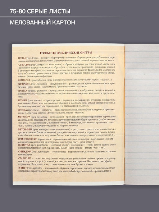 Тетрадь предметная Металл, 48 листов в линейку Литература со справочным материалом, обложка мелованный картон, блок №2, белизна 75% (серые листы) - Calligrata фото 4