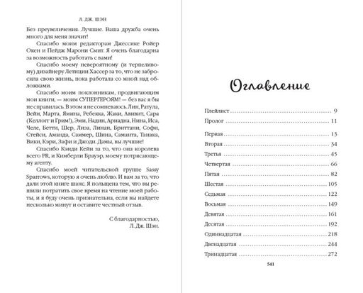 Красавицы Бостона. Охотник (#1)