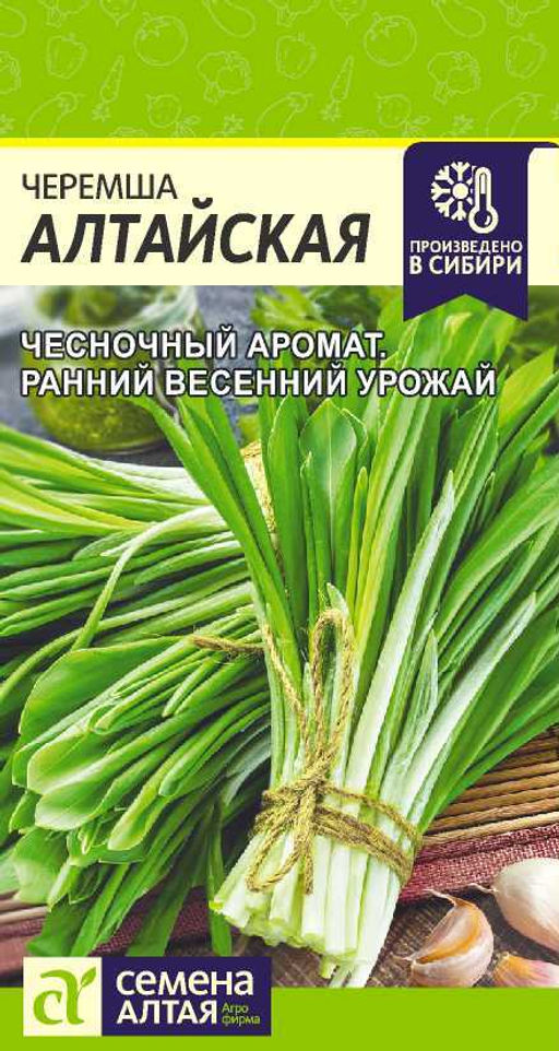 Лук Черемша алтайская/Сем Алт/цп 0,3 гр. НОВИНКА!