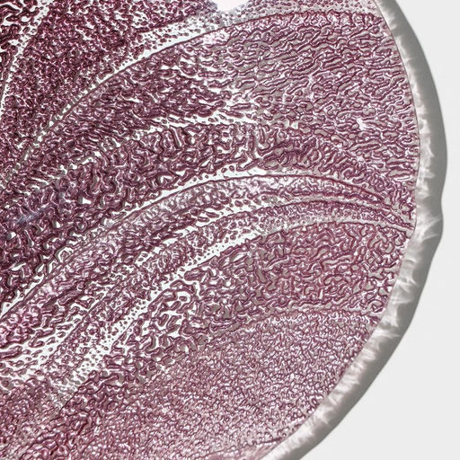 Тарелка «Драхна», d=21 см, стекло, бордовая