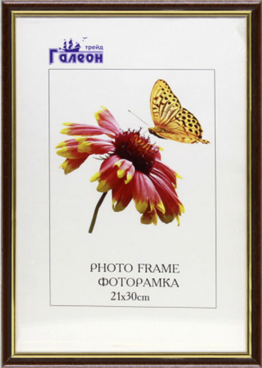 Фоторамка 21х30 / 1300В-703А1 /уп10 - ГалеонТрейд фото 2