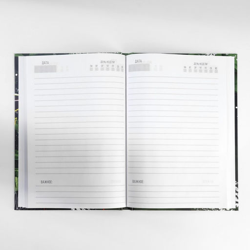 Подарочный набор, ежедневник в твердой обложке А5, 80 л планер, 50 л «Сильному духом. 23 февраля»