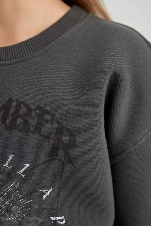 Толстый свитшот с круглым вырезом и принтом для девочек - Defacto фото 5