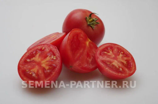 Томат Леди Роуз - Партнер фото 4