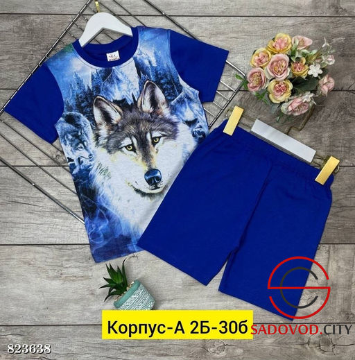 Костюм для мальчика с рисунком