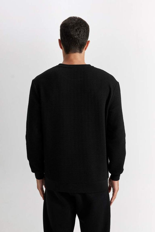 Жаккардовый свитшот стандартного кроя с круглым вырезом - Defacto фото 7